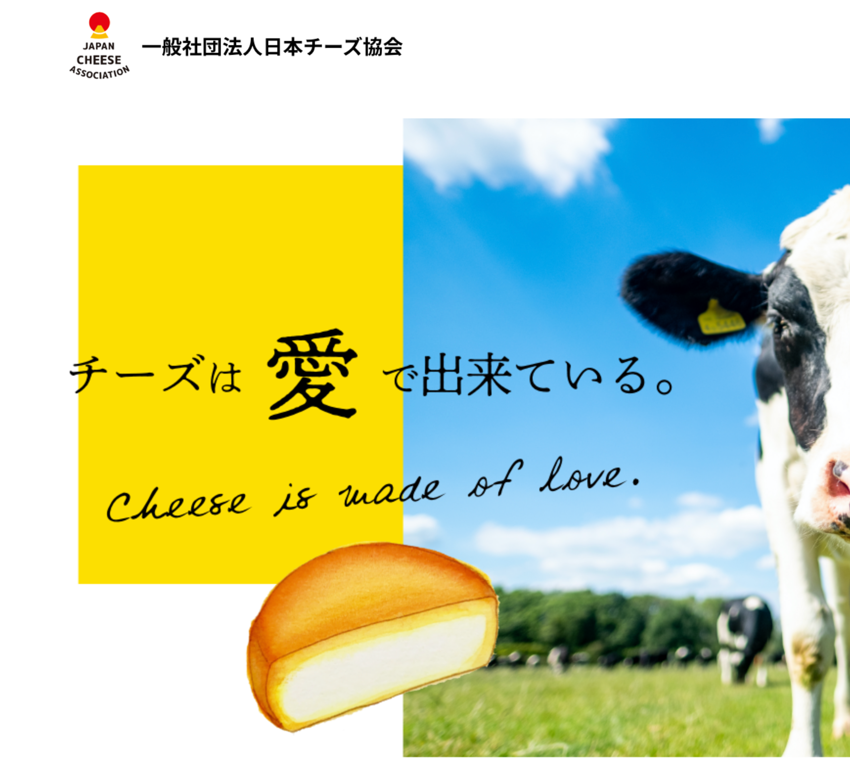 日本チーズ協会に入会しました!