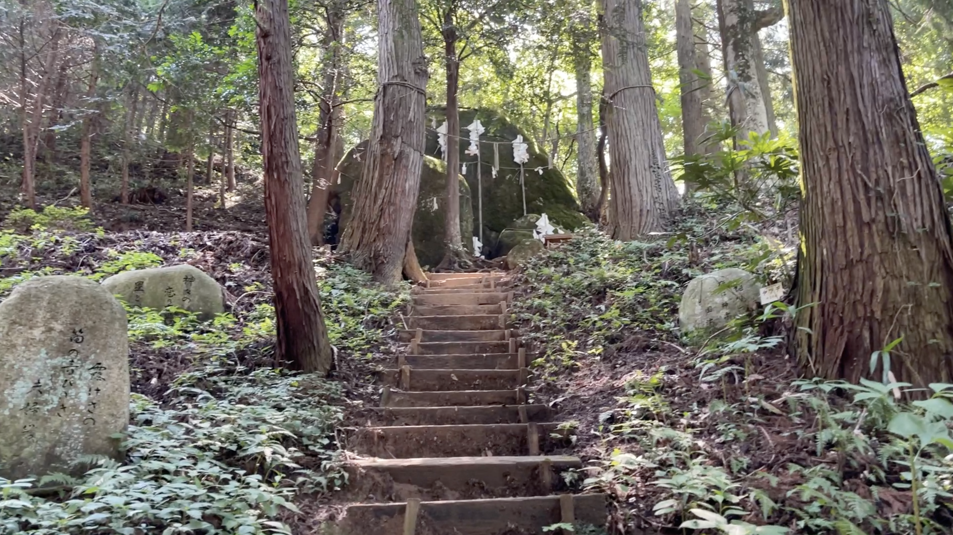 野生麹熟成モッツァレラ