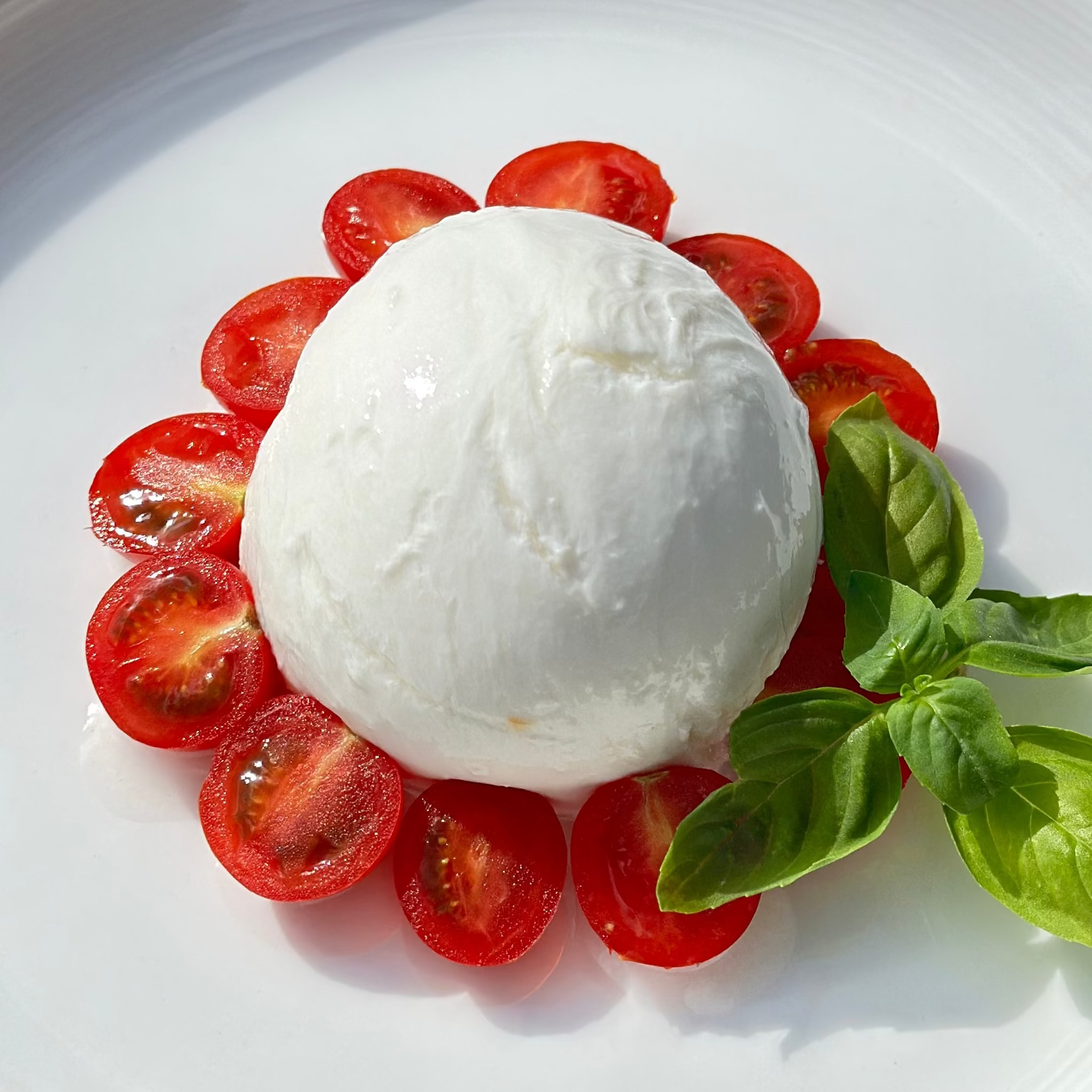 麹熟成モッツァレラ