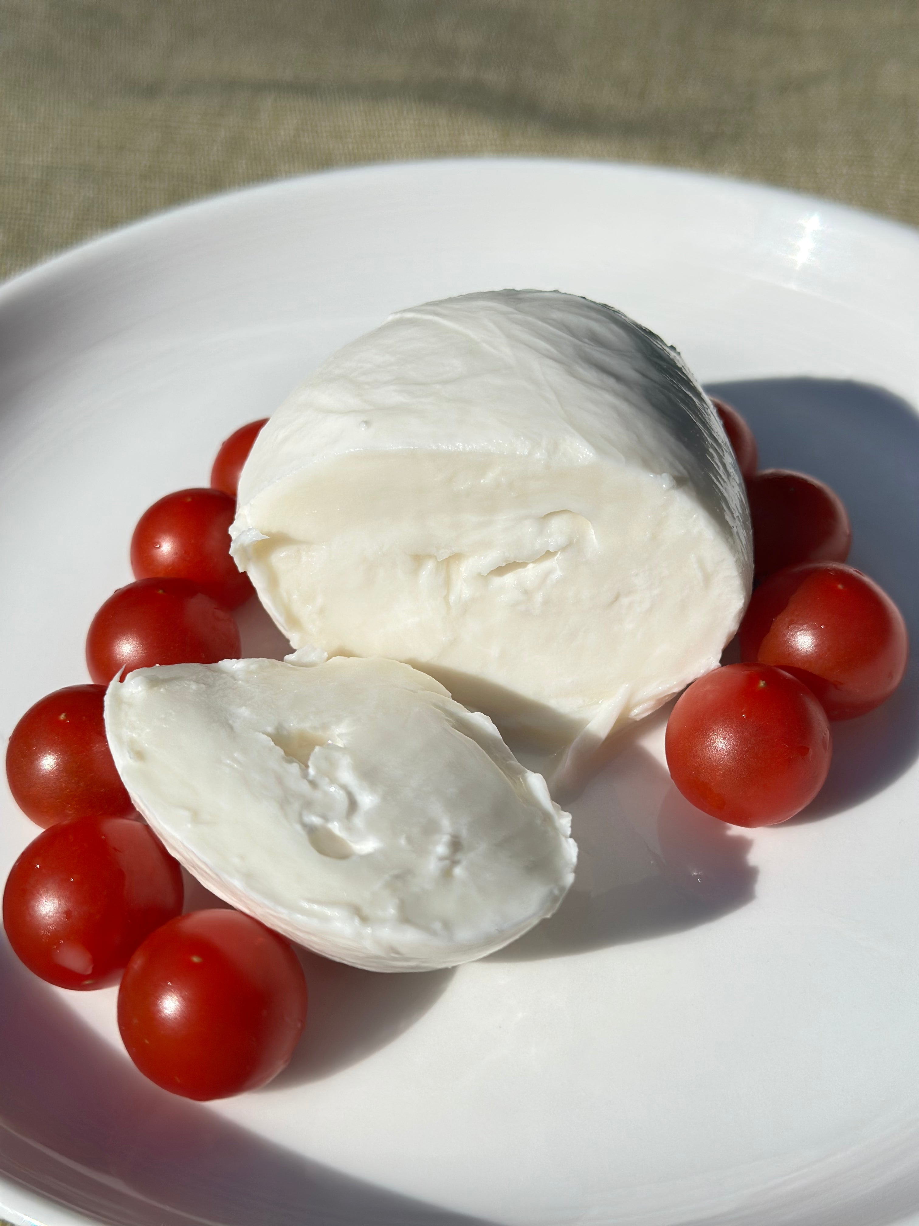 麹熟成モッツァレラ