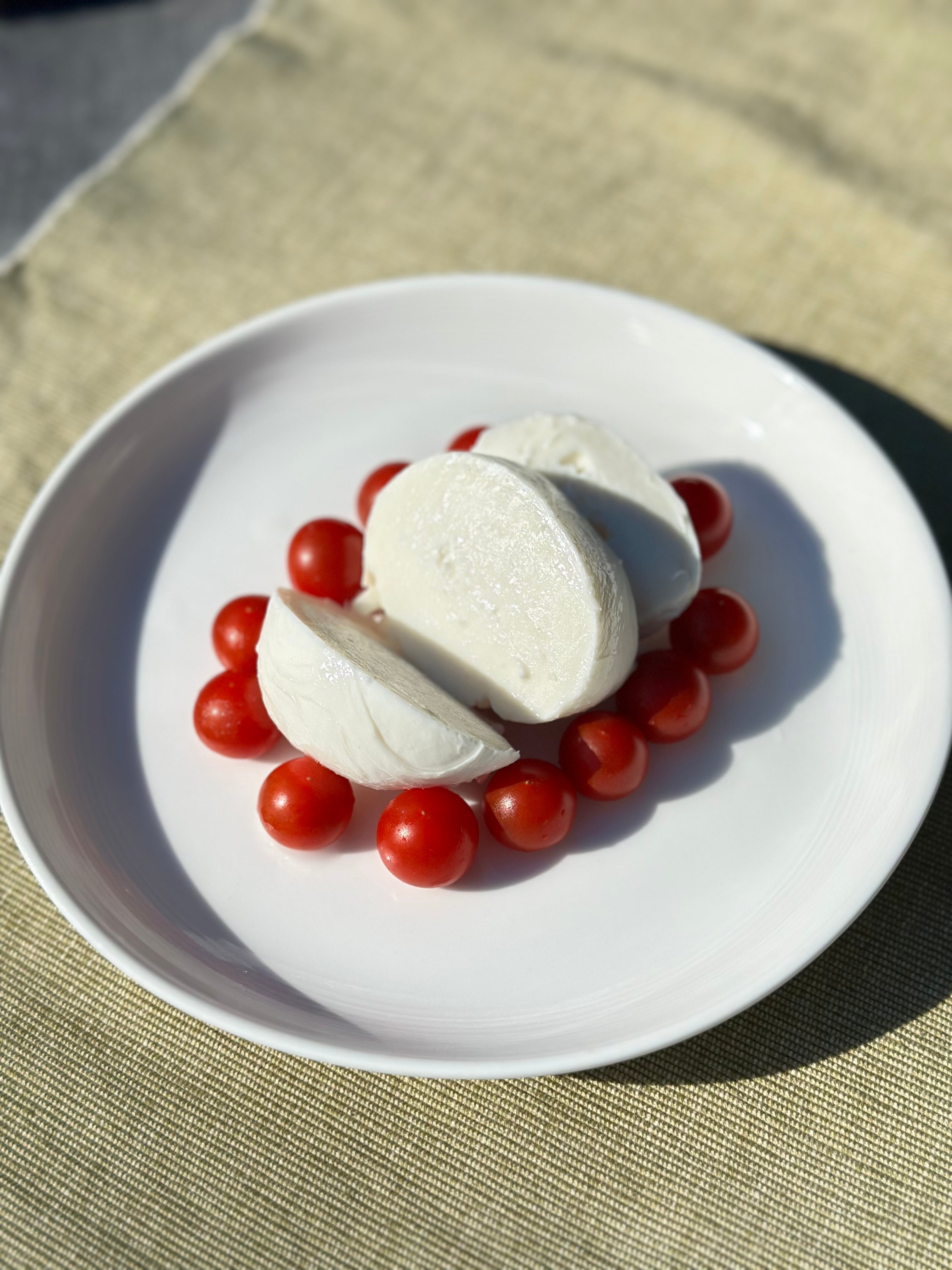 野生麹熟成モッツァレラ