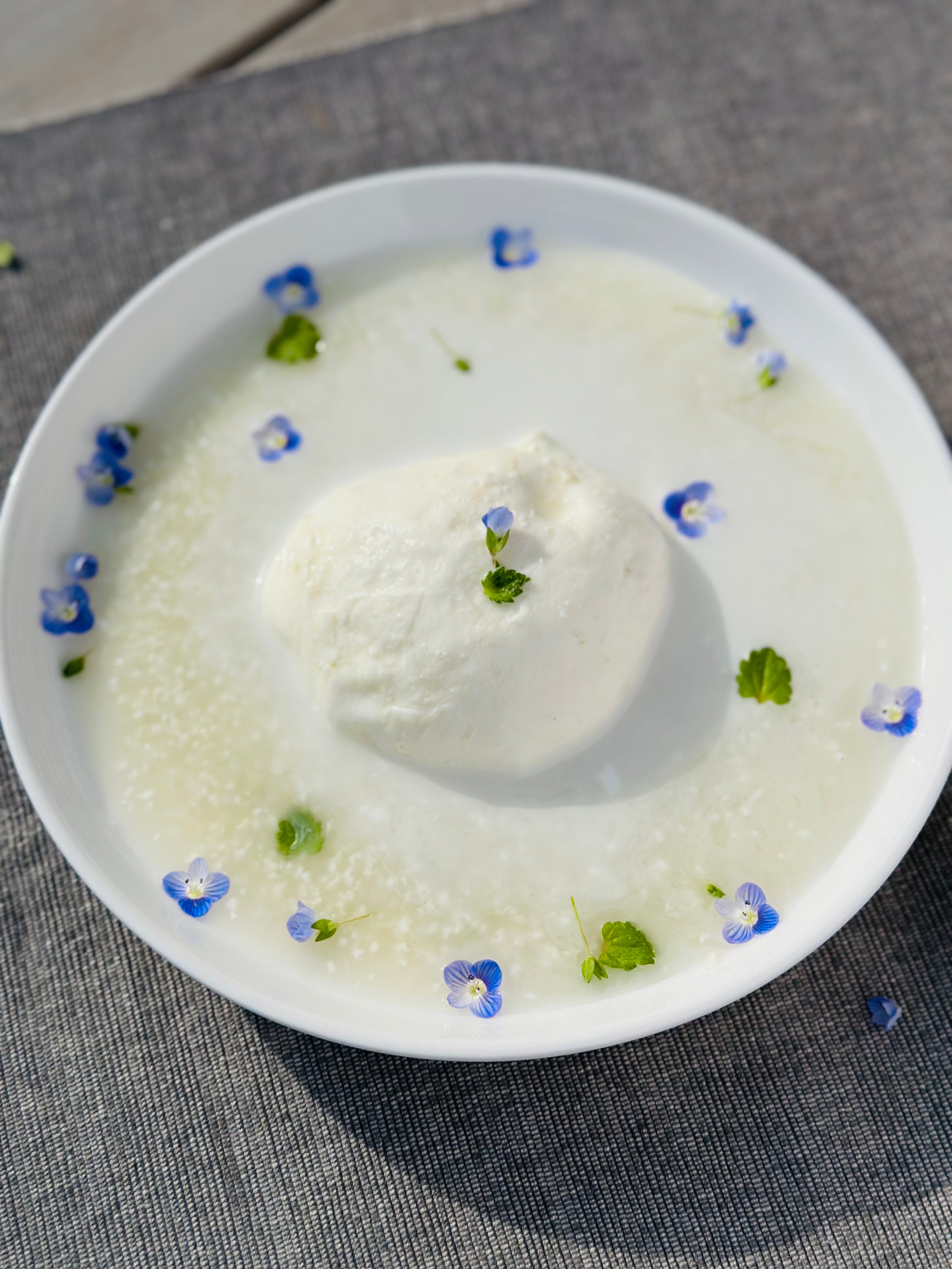 野生麹熟成 モッツァレラ チーズ開発物語