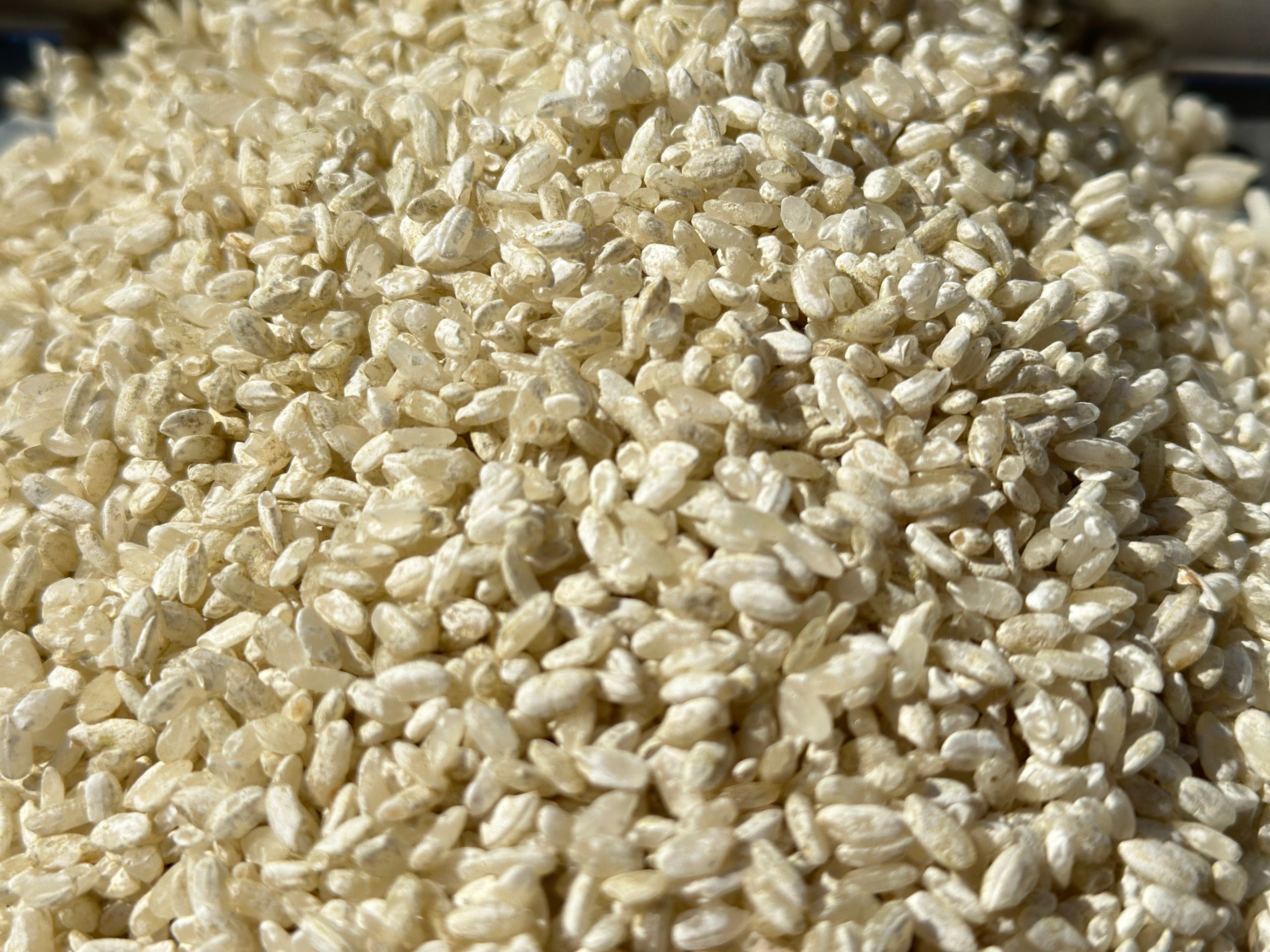 麹熟成モッツァレラ