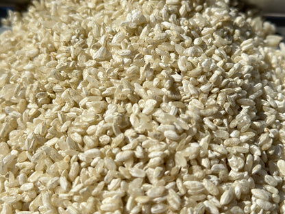 麹熟成モッツァレラ