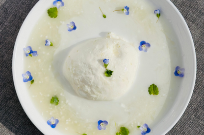 野生麹熟成モッツァレラ