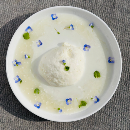 野生麹熟成モッツァレラ