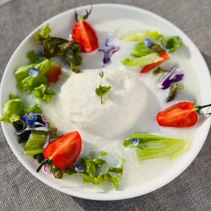 野生麹熟成モッツァレラ