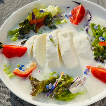 野生麹熟成モッツァレラ